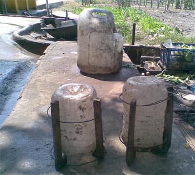 Bẫy diệt ruồi, nhặng