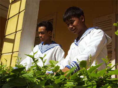 Rau xanh nơi đảo xa