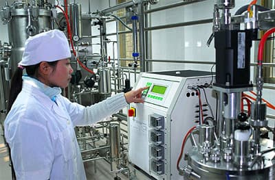Sâm Ngọc Linh – dược phẩm quý của Việt Nam