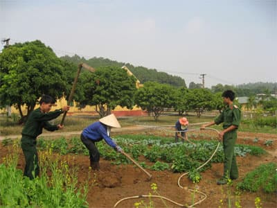 Giá trị của… tư duy