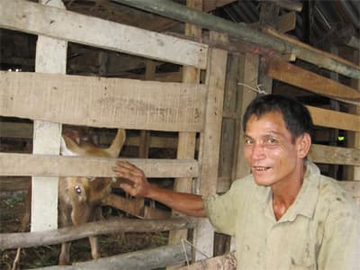 Giàu lên nhờ trại hươu