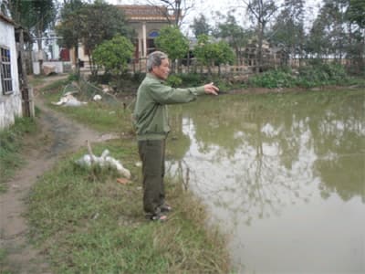 Thoát nghèo nhờ nuôi tôm