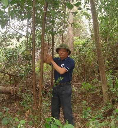 Tỷ phú trồng rừng