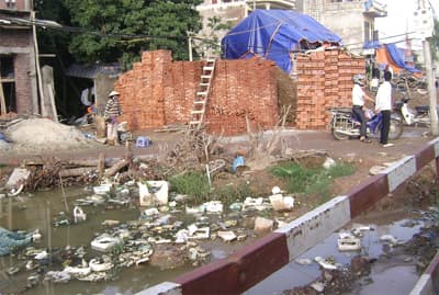 Sốt rét – bệnh không thể chủ quan
