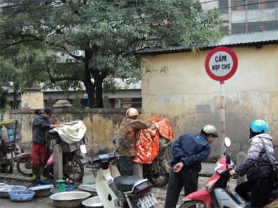 Cấm... vẫn vi phạm!
