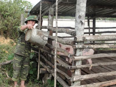 Bộ đội Biên phòng giúp người Đan Lai nuôi lợn