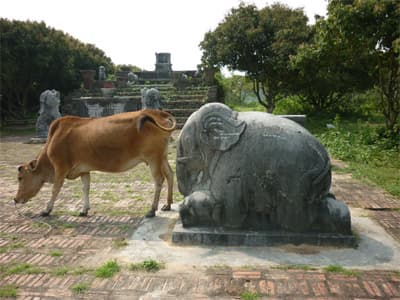 Di tích thành phế tích