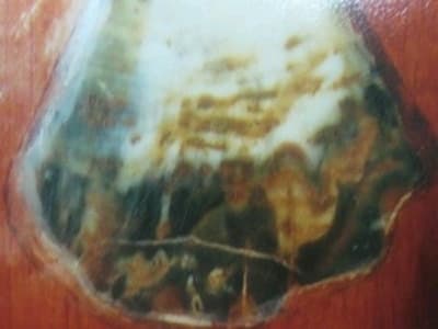 Xúc động hình ảnh Bác lưu giữ trong đá tự nhiên