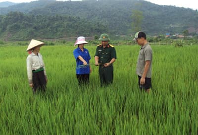 Thoát nghèo nhờ bộ đội