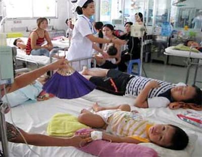 Phòng, chống say nắng, say nóng