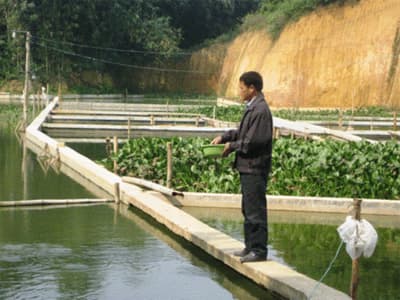 Làm giàu từ mô hình VAC