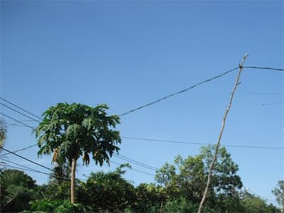 Thiếu cột điện