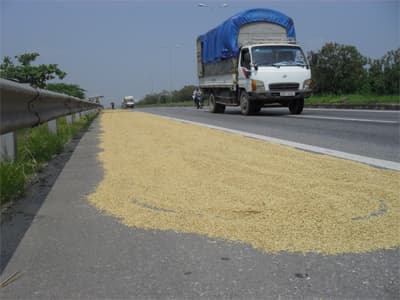 Quốc lộ đâu phải sân phơi!