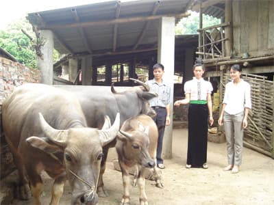 Cần những biện pháp quyết liệt hơn