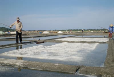 Sa Huỳnh muối mặn…