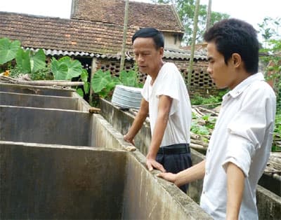 Nuôi ếch thoát nghèo