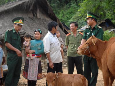Mô hình điểm, hiệu quả kép
