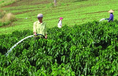 Đắk Lắk: Nguồn nước tưới đáp ứng trên 72% cây trồng