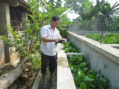 Tỷ phú nhím và ba ba ở Kỳ Sơn, Hòa Bình