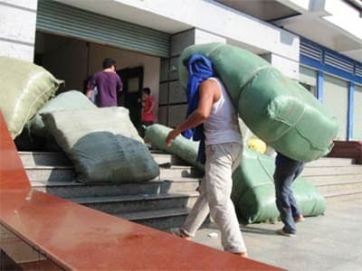 Những chặng đường mù sương