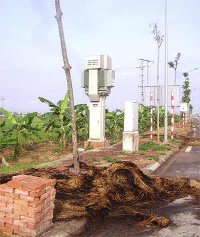 Cứu cây xanh trên đại lộ Thăng Long