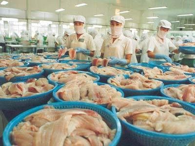 Xuất khẩu thủy sản: Cơ quan gác cổng để lọt lưới