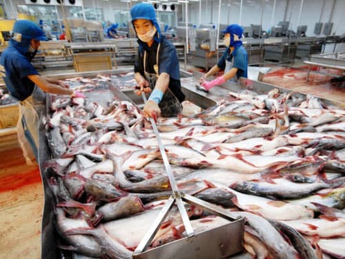 Vinh danh ngành cá tra Việt Nam có trách nhiệm