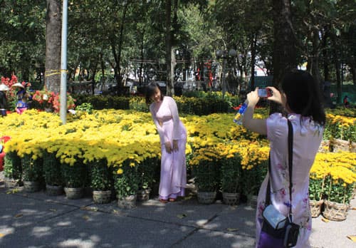 Các chợ hoa Tết vắng khách