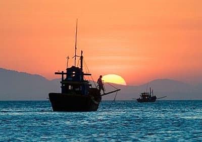Thế giới tuần qua: “Gieo gió…”