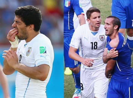 Suarez đã nhận tội cắn Chiellini