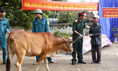 Những mô hình giúp dân hiệu quả