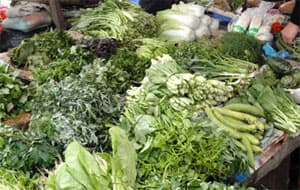 Đồng bằng Sông Cửu Long: Rau củ mùa lũ tăng giá