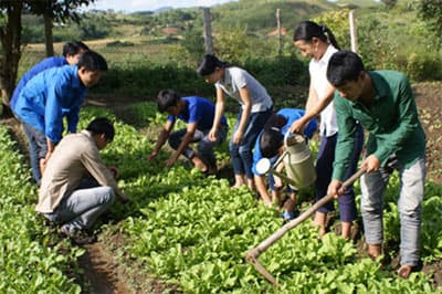 Ý nguyện không đổi thay