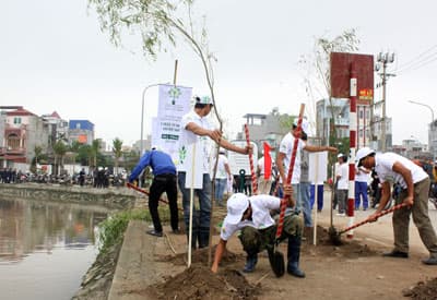 70.000 cây xanh đã được trồng trong năm 2012