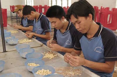 Mô hình “Bạn đồng hành 2 + 1”