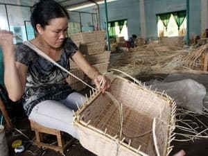 52.500 phụ nữ được hỗ trợ từ dự án tín dụng Việt-Bỉ