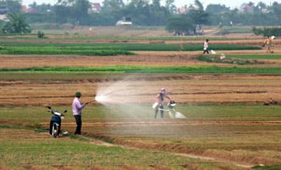 Đề nghị tăng đầu tư cho nông nghiệp, nông thôn