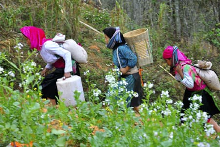 Một ngày với chợ phiên Đồng Văn