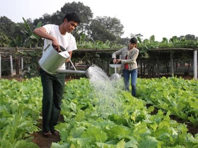 "Thực hiện" chế độ cùng chồng