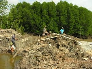 Kỷ luật cán bộ, đảng viên lấn chiếm rừng phòng hộ