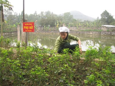Chị cả của đơn vị