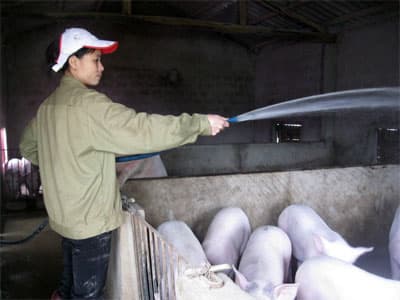 Nghị lực làm giàu của một cán bộ nữ
