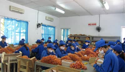 Hướng về cơ sở, chăm lo trực tiếp cho công nhân lao động