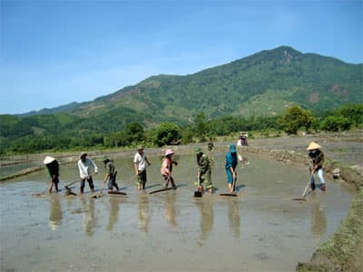 Bộ đội giúp dân “bệnh lạ” vào vụ mới