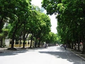 Khởi công đường Trần Phú-Kim Mã vào tháng 10