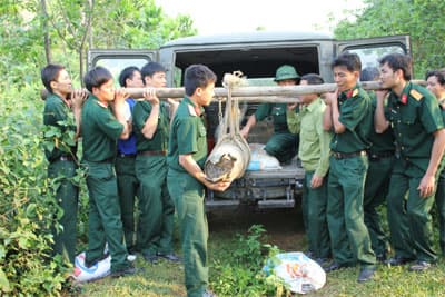 Hủy nổ an toàn 2 quả bom loại 500 bảng Anh