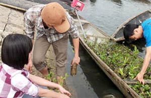 20.000 cây xanh được trồng tại TP Hạ Long