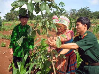 Người Mông làm  giàu trên quê mới