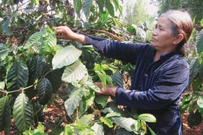Nữ anh hùng làng Bạc
