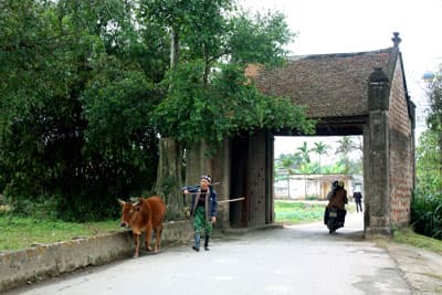 Nhớ Sơn Tây